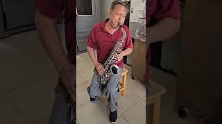 Sax Alto Hoyden Niquelado Com Boquilha Extra [upl. by Tema]