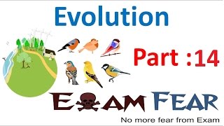 Biology Evolution part 14 Hardy Weinberg Principle Introduction class 12 XII [upl. by Zea]