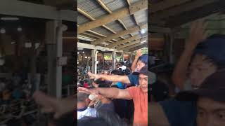 Betting in the cockfighting arena in the Philippines 🇵🇭 travel phlippines betting [upl. by Gherlein917]