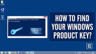 Windows 10 Key Finder [upl. by Yle]