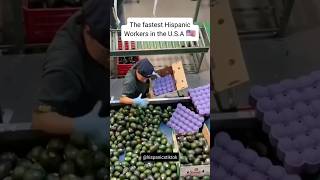 Price of Produce Will Skyrocket 🚀 shorts latinos hispanictiktok produce economy food [upl. by Royce177]