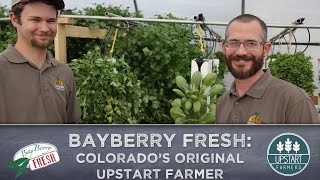 BayBerry Fresh An Innovative Vertical Farm in Ft Collins [upl. by Connors]