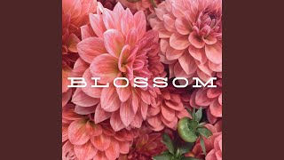 Blossom [upl. by Ecirtel]