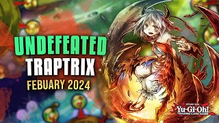 YuGiOh UNDEFEATED TRAPTRIX DECK PROFILE February 2024 [upl. by Lovett459]