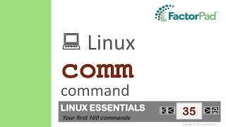 Linux comm command summary with examples [upl. by Ltihcox102]