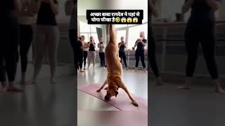 ramdev baba yoga funny comedyshorts viralvideo comedy [upl. by Anomahs]