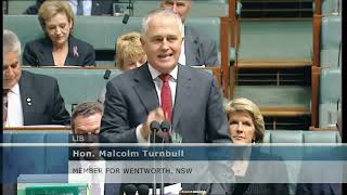 quotNBN a conspiracy against taxpayers warns Turnbullquot  House of Reps MPI  26th Oct 2010 [upl. by Ogden]