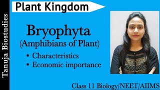 Plant Kingdom  Bryophyta  Characteristics and Economic Importances  Class 11 BiologyNEETAIIMS [upl. by Chessa]