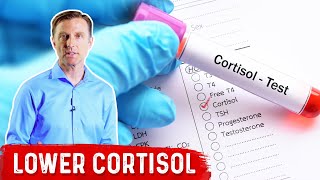 How To LOWER Cortisol Levels – Dr Berg [upl. by Ilecara]