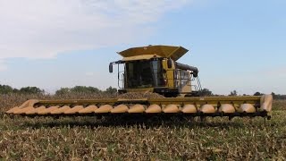 Caterpillar Lexion 570R Combine with a C516 16 Row Corn Head [upl. by Haimrej984]