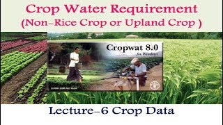 CropWAT 80 NonRice or Upland Crop Data  6 [upl. by Attekahs]