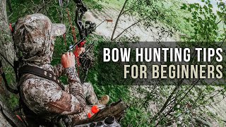 Bow Hunting Tips for Beginners [upl. by Midge]