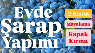 Evde İleri Seviye Şarap Yapımı 2kısım Mayalama ve Kapak Kırma How to Make Premium Red Wine at Home [upl. by Dailey357]