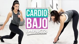 Rutina de cardio sin saltos  Ejercicios perfecto para principiantes [upl. by Rochus64]