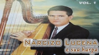 Narcizo Lucena e sua Harpa vol 1  Instrumental na Harpa  CD Completo [upl. by Gelman]