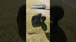 Rating Touch Grass Together gaming funny [upl. by Oelgnaed]