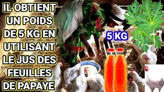 IL OBTIENT UN POIDS DE 5 KG EN UTILISANT LE JUS DES FEUILLES DE PAPAYE ET DAUTRES PRODUITS [upl. by Aillimat]