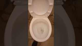 6 Cersanit President Toilet [upl. by Woodall]