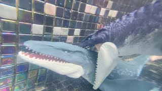 Double Mosasaurus Underwater Battle Jurassic World [upl. by Neirrad]