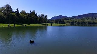 Alder Lake  Eatonville Washington Aerial Video HD [upl. by Tam]