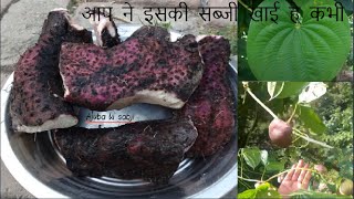 क्या आप ने कभी पोषक तत्व से भरा इस अजूबे की सब्जी खाई है कभी Dioscorea Bulbifera Varahikandrecipe [upl. by Hairas]