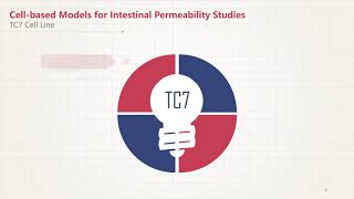 Comparison of Caco 2 with Other Cell based Models for Intestinal Permeability Studies [upl. by Lemuel]