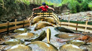 Using bamboo to make fish traps using the ancient method The boy caught a lot of fish [upl. by Birgitta]