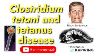 Clostridium tetani and tetanus disease I Tetanus toxin I Audio [upl. by Uhayile270]