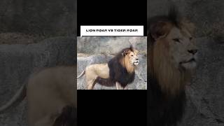 Tiger Roar vs Lion Roar  Which is LOUDERPart One [upl. by Nerro]