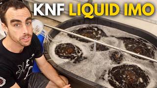 KNF VS JADAM  Making a POWERFUL Soil Amendment Liquid IMO [upl. by Dolf300]