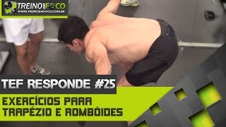 Treino em FOCO Responde 25  Exercícios para trapézio e romboides [upl. by Zohar667]