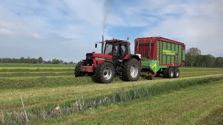 Gras oprapen met Case International 1255XL  Strautmann opraapwagen en IHC 1056 XL op de kuil 2021 [upl. by Cardwell]