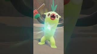 Pokemon Scarlet Grookey Evolves Into Rillaboom [upl. by Ylle]