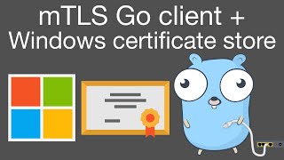 Mutual TLS mTLS Go client using Windows certificate store [upl. by Egidius]