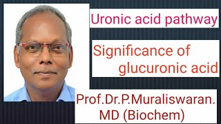 Uronic acid Pathway Muralis Simplified Biochemistry [upl. by Renault869]