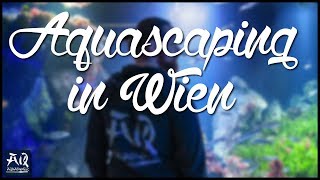 Aquascaping in Wien  AquaOwner VLOG [upl. by Peyter]