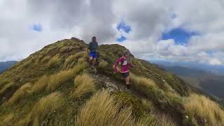 JumboHoldsworth loop Tararua forest park [upl. by Ettenig]