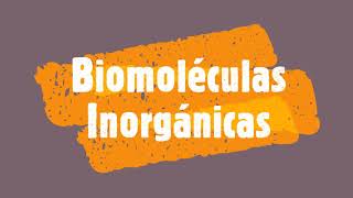 Biomoléculas Inorgánicas [upl. by Eugilegna]