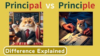 Principal vs Principle Whats the Difference [upl. by Lehsar]