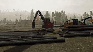 Farming Simulator 22 Forestry on SilevrRun Ep4 stack em [upl. by Redmer797]