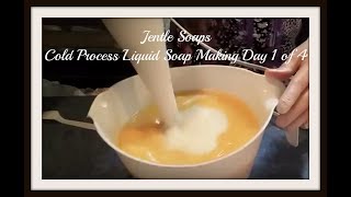 ❄️Cold Process Liquid Soap Making 💧Step 1 with Recipe 🧼Jentle Soaps [upl. by Richella]