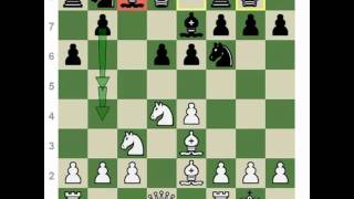 Chess Openings How to Play the Najdorf Sicilian [upl. by Wittenburg]