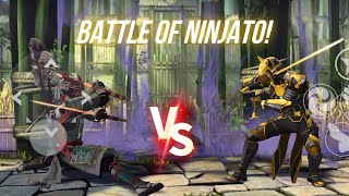 Best Ninjato User Triad Vs Fiery Theo🔥  Shadow Fight 3 [upl. by Dicky933]