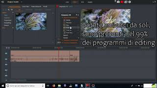 Lightworks tutorial ITA episodio 01 [upl. by Lucias]