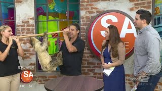 Zoomagination  SA Live  KSAT 12 [upl. by Atteroc]