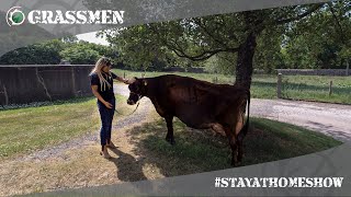 GRASSMEN StayAtHomeShow  Livestock with Kirstie  Clandeboye Estate [upl. by Genia]