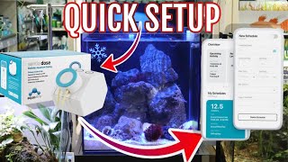 Easy Setup of Aquavitro Sentia Doser on UNS 40A All in on reef system [upl. by Langston]