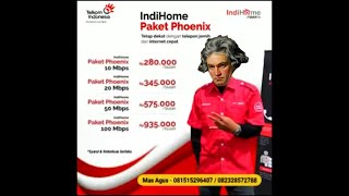 IndiHome Paket Phoenix But Orchestral ver [upl. by Etnoed]