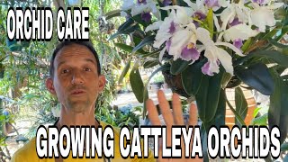 From Rainforest to Your Home Cattleya Culture Explained [upl. by Assilav247]