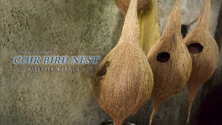 Coir Bird Nest  Alleppey Kerala [upl. by Erhard]